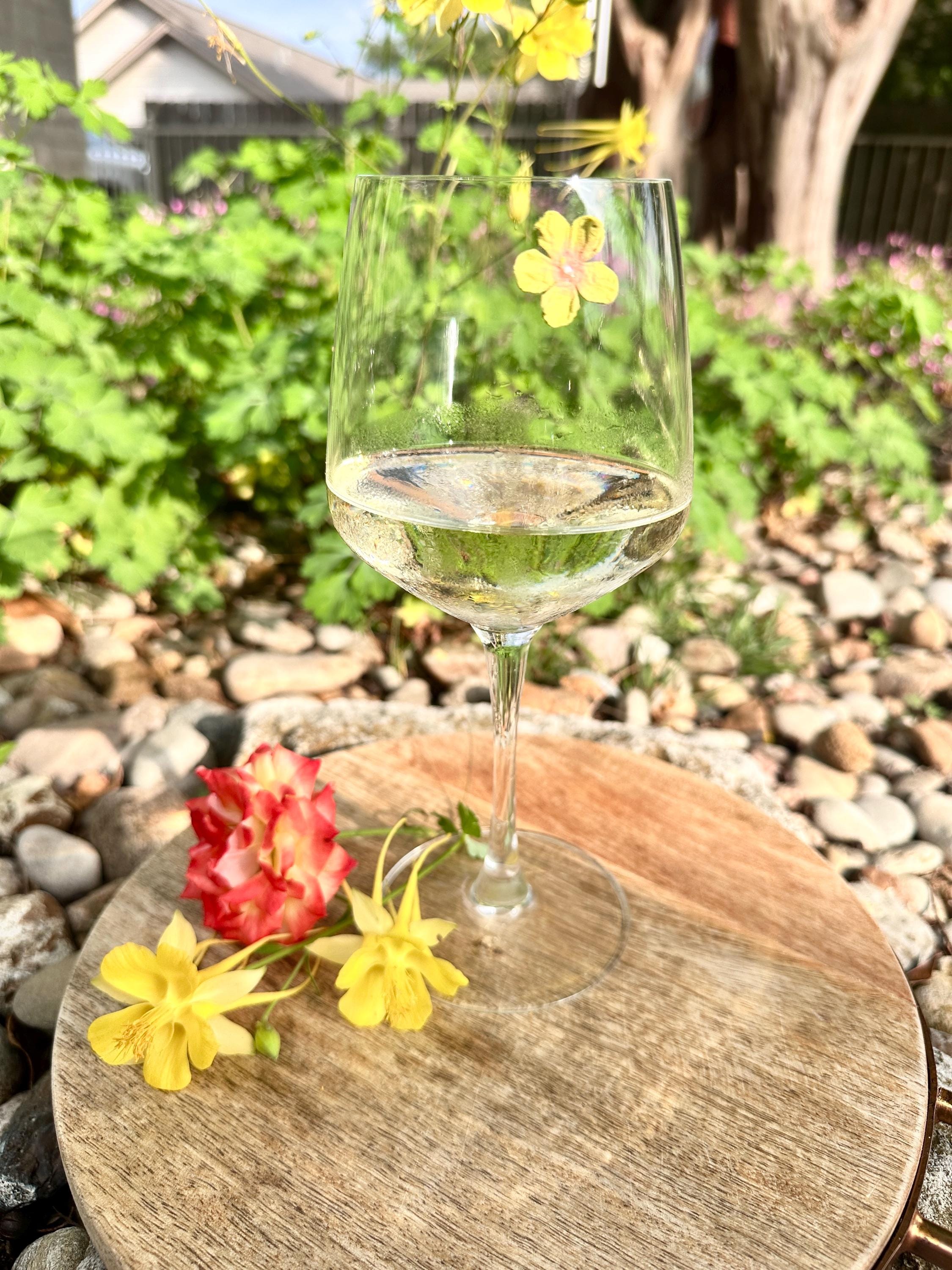 Floral Magnetic Wine Charms — Pastel Drink Markers for Parties & Gifts