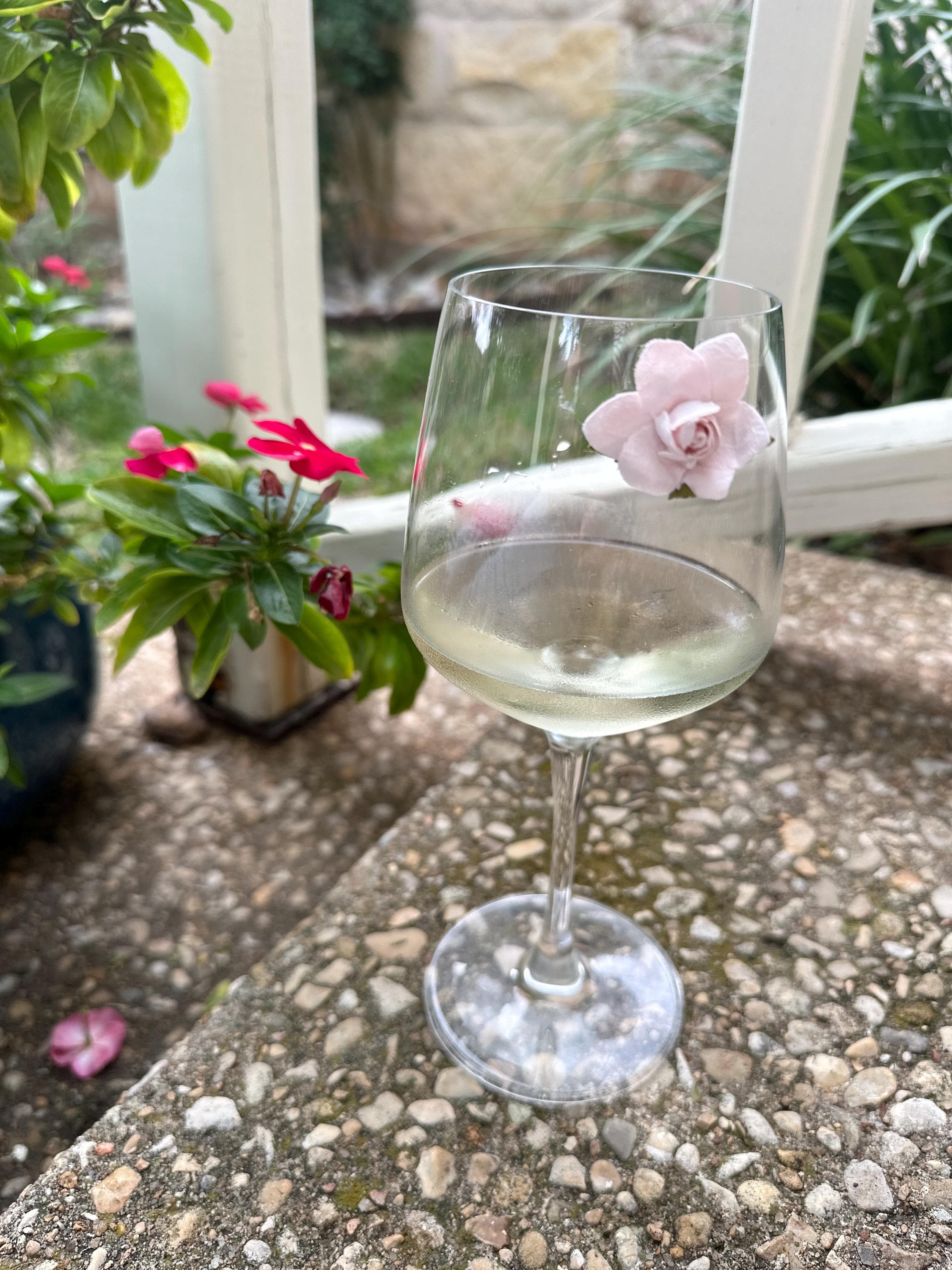 Botanical Butterfly Wine Charm Set — 7 Piece